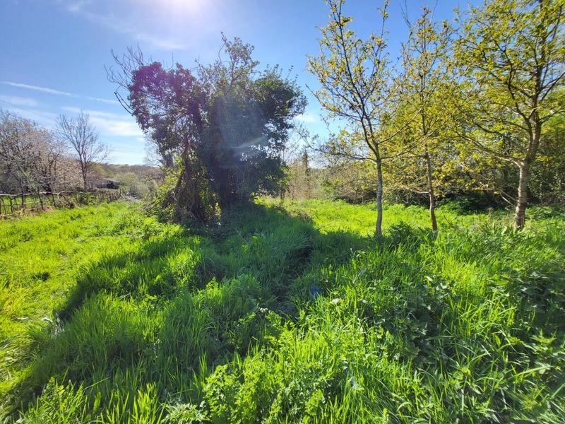 Hangar - 520 m² - 1 pièce