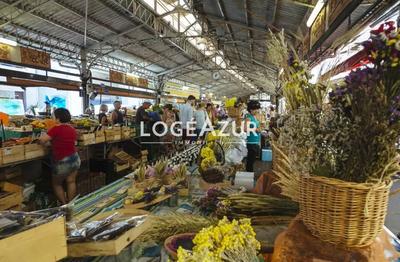 Local commercial - 49 m² - 1 pièce