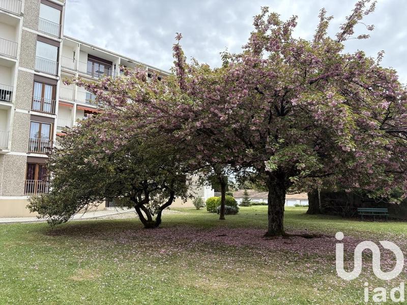 Appartement - 74 m² - 3 pièces