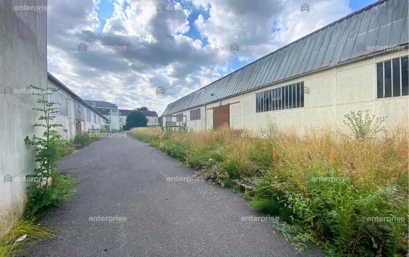 Local d'activité / Entrepôt - 1 650 m²