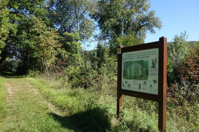 Balade découverte de l'ile de Marckolsheim