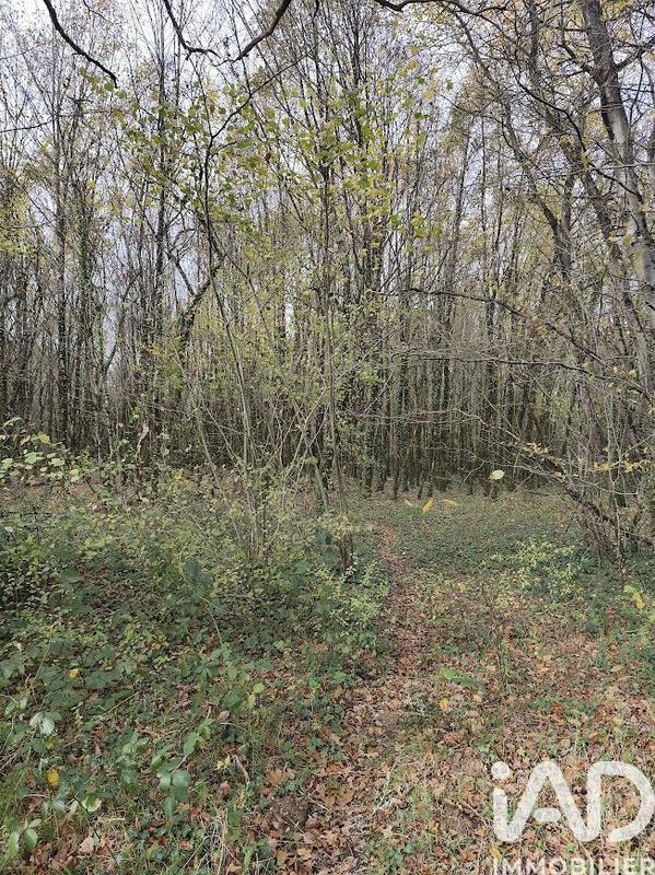 Terrain - 405 918 m²