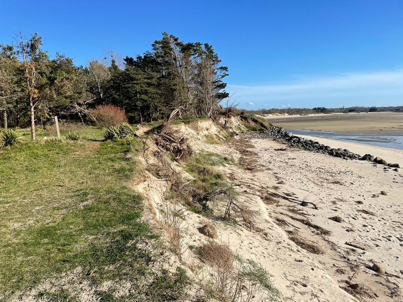 Promenade-découverte nature de la pointe nord du havre de la Vanlée