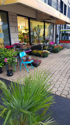 Fonds de commerce - Magasins - 154 m²