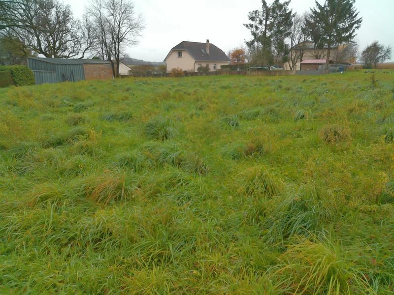 Terrain - 4 059 m²