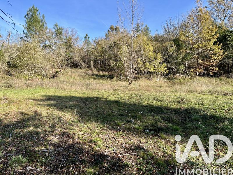 Maison - 104 m² - 4 pièces