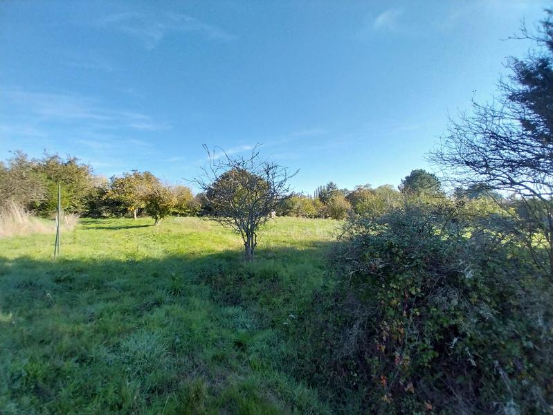 Maison - 117 m² - 6 pièces