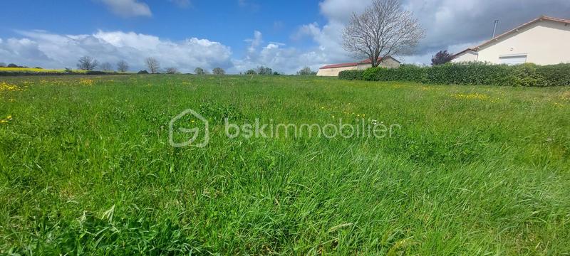 Terrain constructible - 4 000 m²