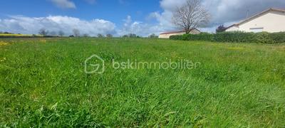 Terrain constructible - 4 000 m²
