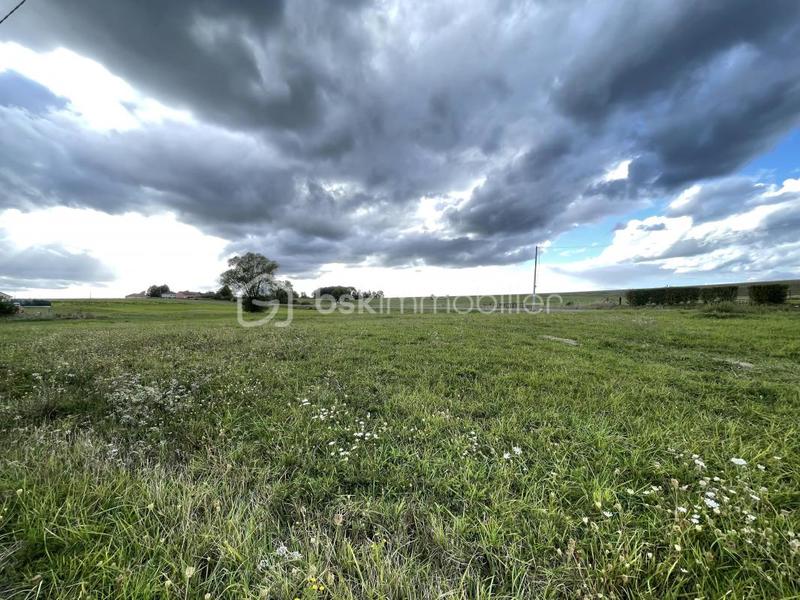 Terrain constructible - 1 240 m²