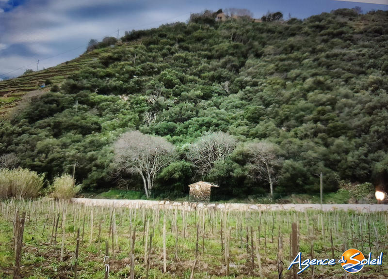 Terrain agricole - 4 000 m²