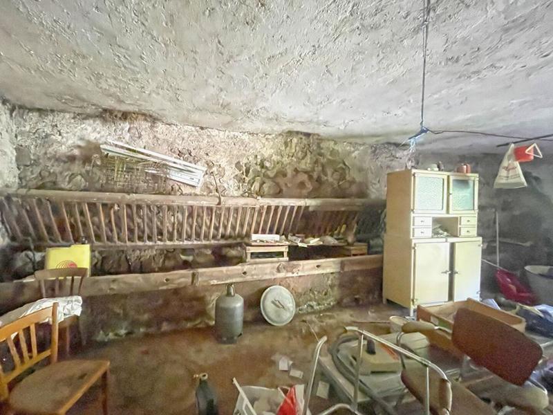 Corps de ferme - 400 m² - 5 pièces