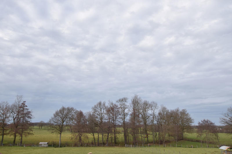 Longère - 231 m² - 7 pièces