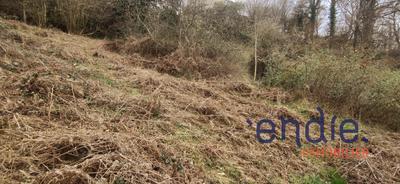 Terrain de loisirs - 5 395 m²