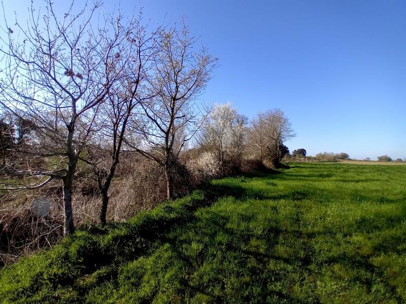 Maison - 200 m² - 5 pièces