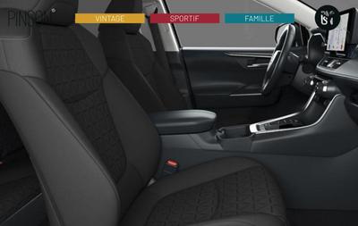 Toyota Rav4 2.5 Hybrid 218 Ecvt Team Deutschland