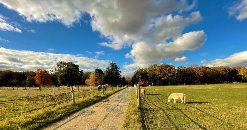 Maison - 200 m² - 7 pièces