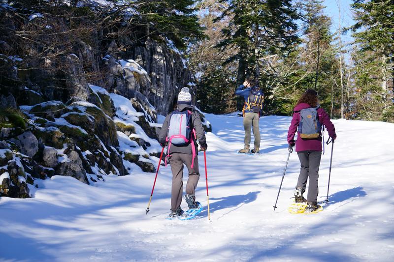 Balade accompagnée en raquettes à la Pierre Saint-Martin