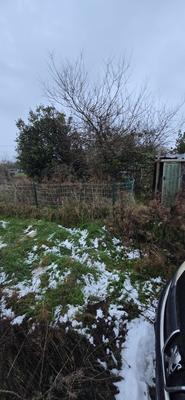 Terrain constructible - 795 m²