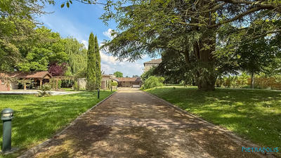 Maison ancienne - 270 m² - 9 pièces