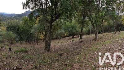 Terrain - 11 000 m²