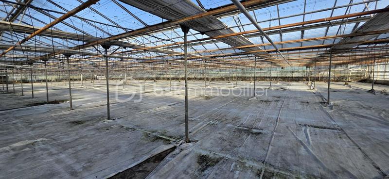 Terrain agricole - 17 382 m²