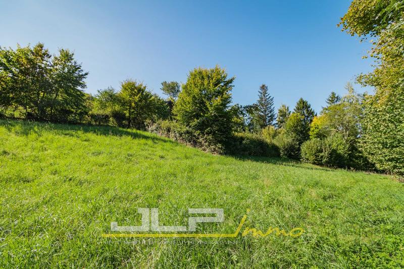 Terrain - 1 403 m²