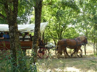Balade en calèche à Terres d'Oiseaux