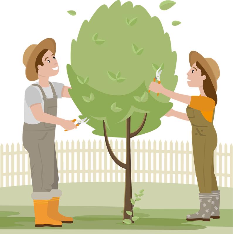 Stage greffage de fruitiers à Saint-Michel-Léparon