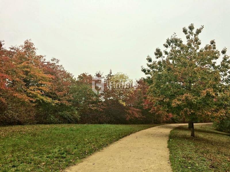 Maison - 147 m² - 8 pièces