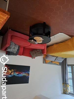 Appartement - 30 m² - 1 pièce