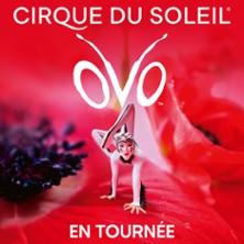 Cirque du Soleil - Ovo - Tournée