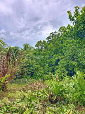 Bungalow - 64 m² - 3 pièces