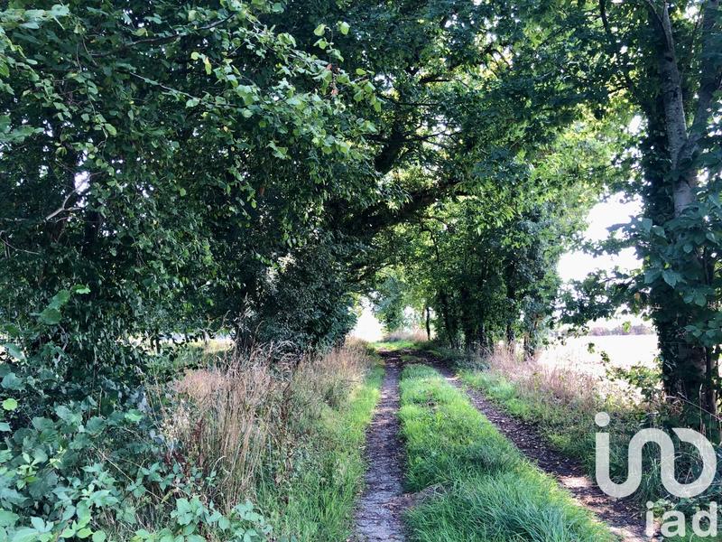 Ferme - 150 m² - 5 pièces