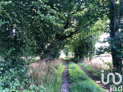 Ferme - 150 m² - 5 pièces