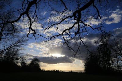 Balade à la tombée de la nuit