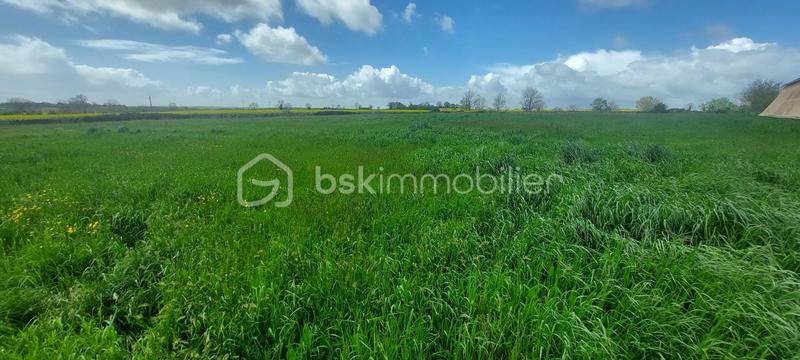 Terrain constructible - 4 000 m²