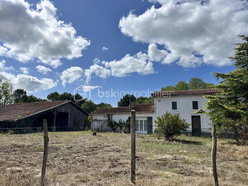 Maison ancienne - 215 m² - 6 pièces