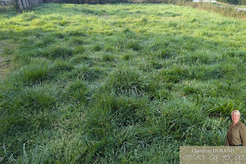 Terrain constructible - 997 m²