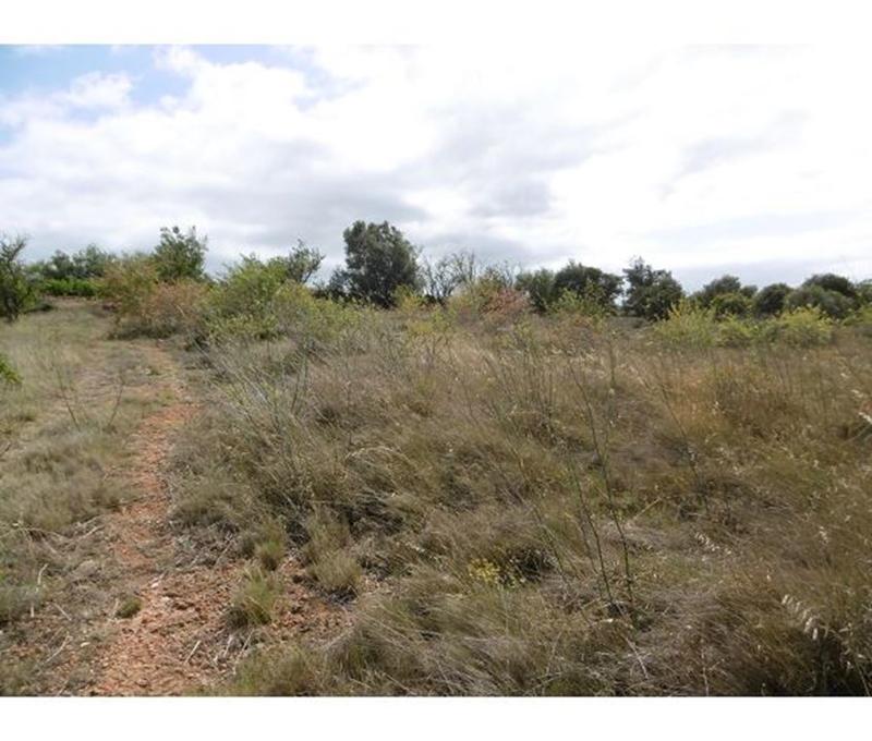 Terrain - 20 027 m²