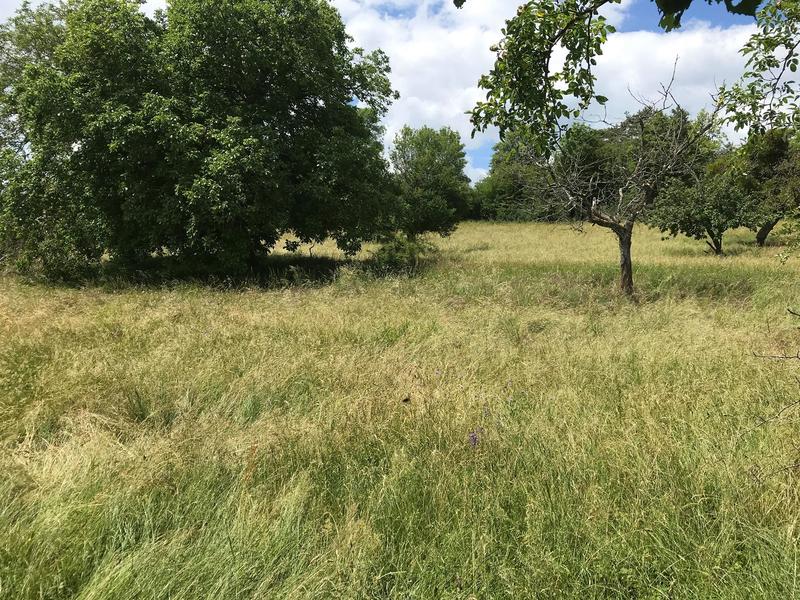 Maison ancienne - 200 m² - 6 pièces