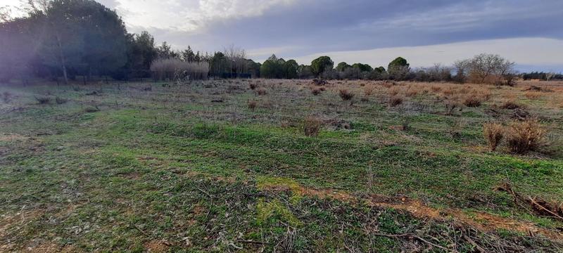 Terrain agricole - 4 373 m²