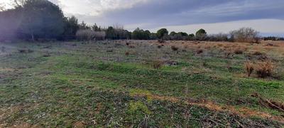 Terrain agricole - 4 373 m²