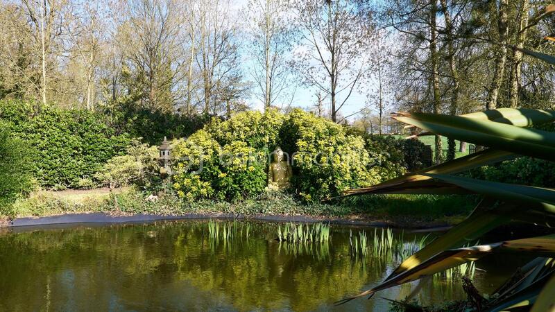 Propriété - 257 m² - 7 pièces