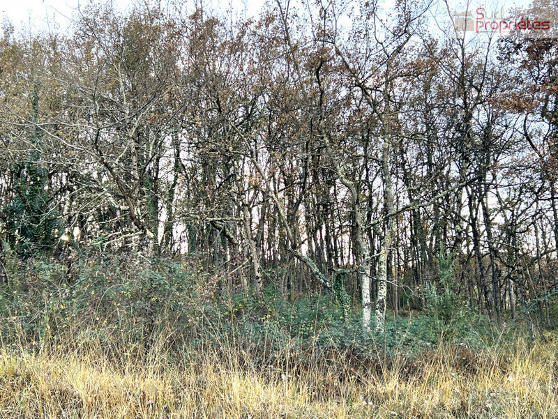 Terrain - 550 000 m²