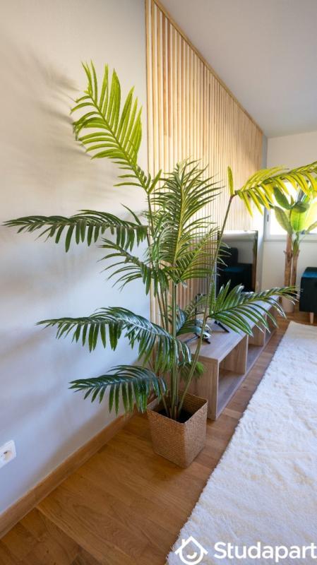 Maison - 45 m² - 2 pièces