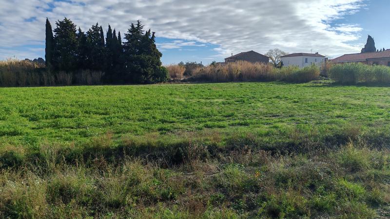 Terrain agricole - 1 690 m²