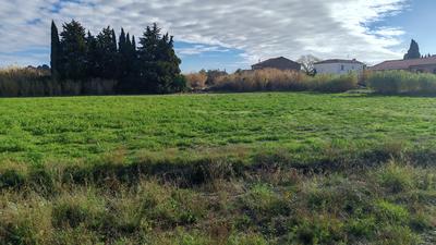 Terrain agricole - 1 690 m²