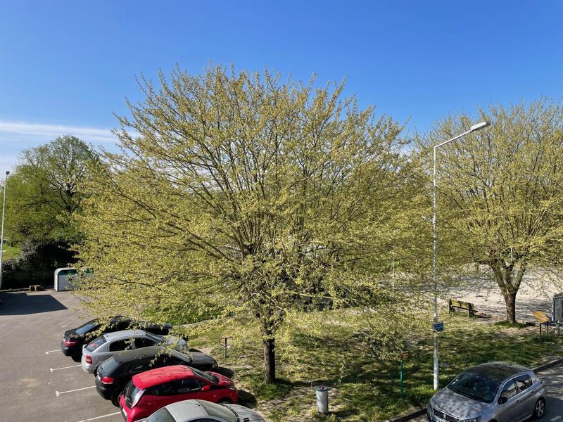 Appartement - 50 m² - 3 pièces