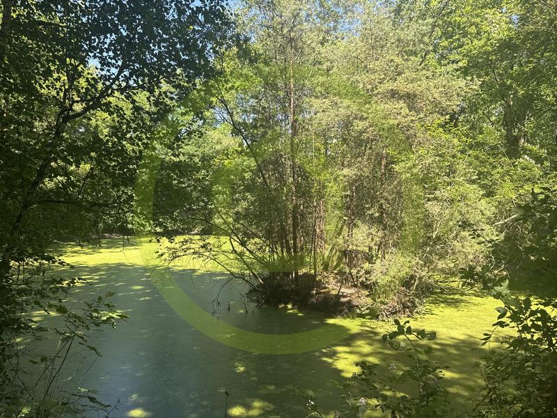 Propriété - 143 m² - 6 pièces